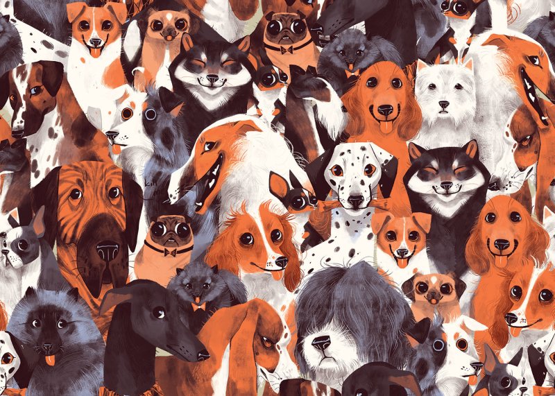 Разноцветные собаки