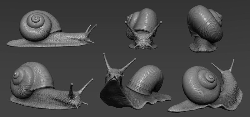 Улитка референс