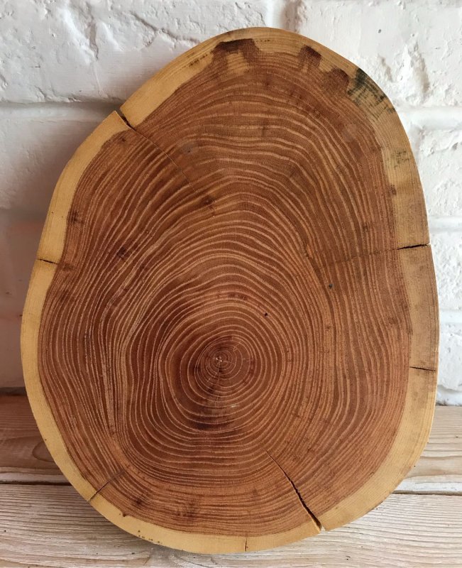 Гледичия древесина