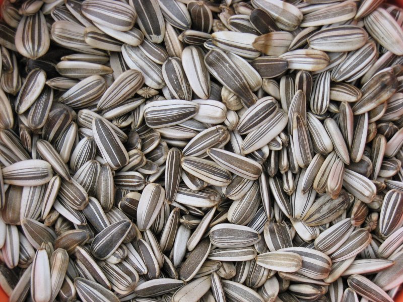 Семечки полосатые