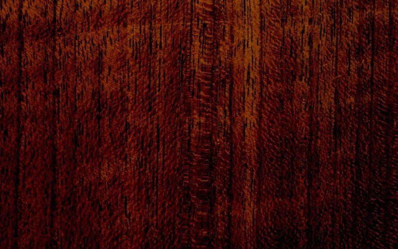 Текстура дерева