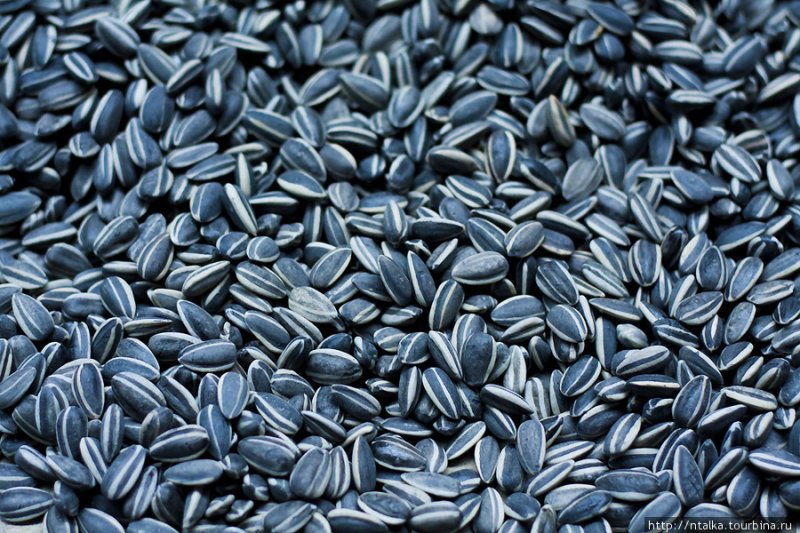 Текстура семечек
