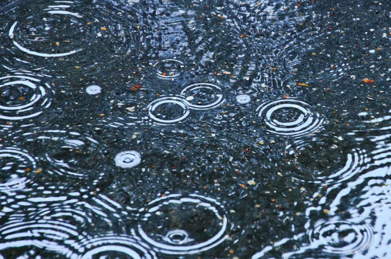 Круги на воде