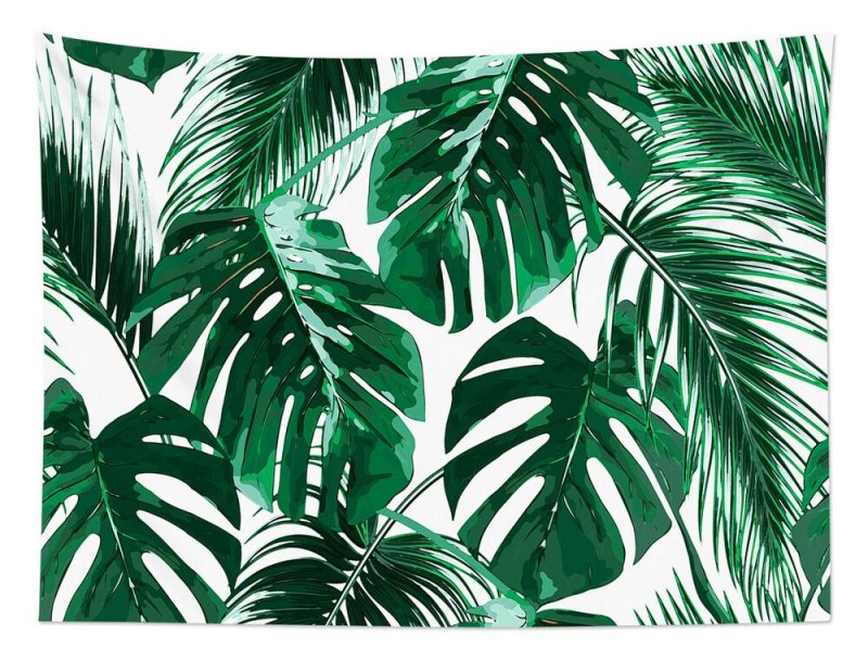 Папоротник пальмы монстера