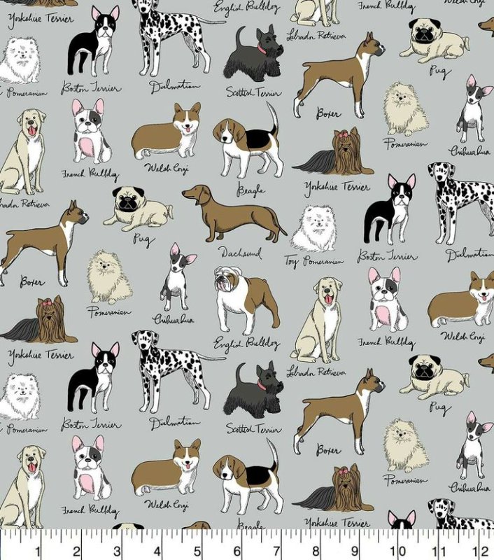 Собачки разных пород