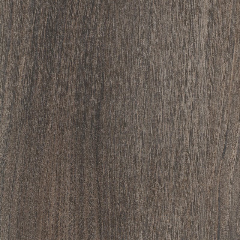 Дуб трюфель Троя