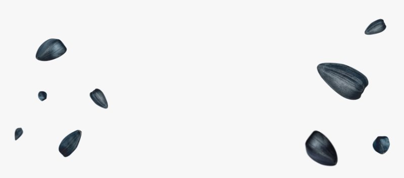 Семечка на прозрачном фоне