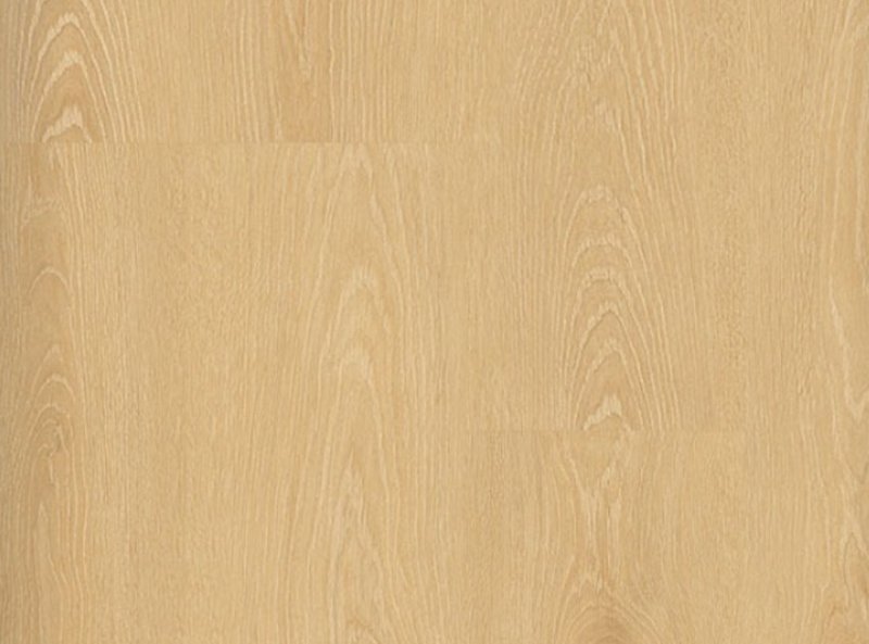 Текстура дерева