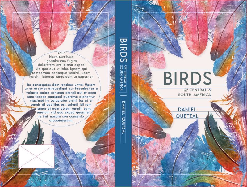 Развертка обложки книги