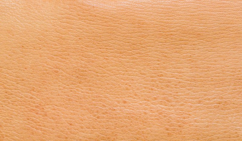 Текстура кожи