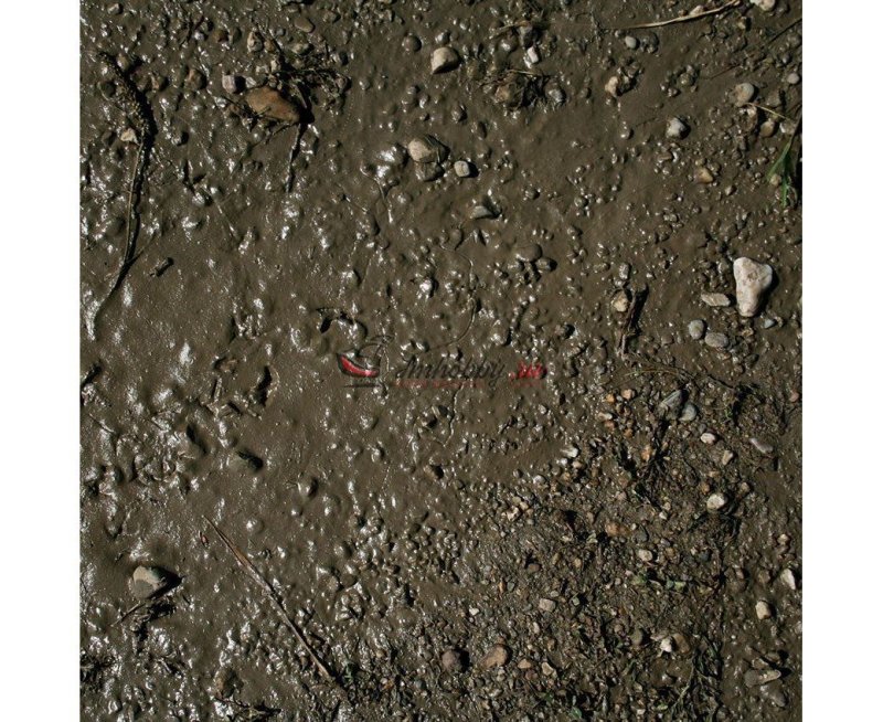 Земля грязь