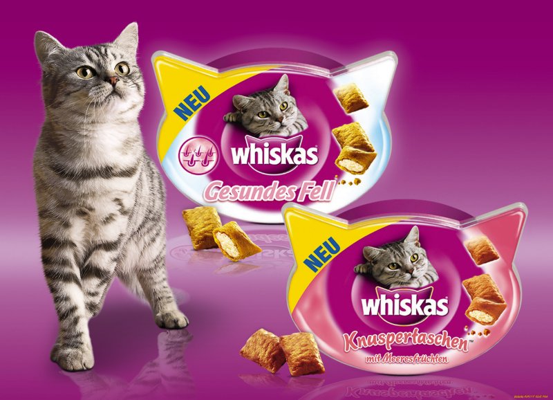 Whiskas 2010