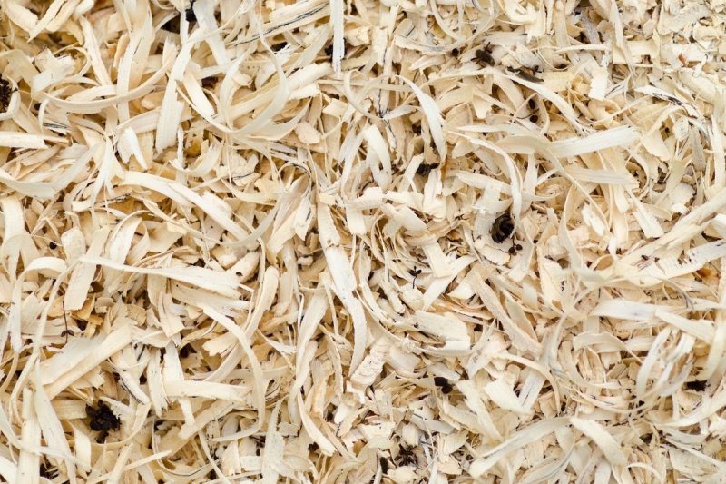 Древесные опилки