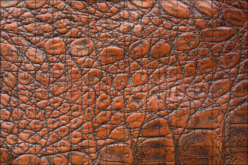 Фактурная кожа