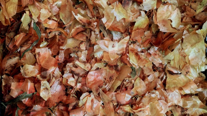 Рыбья шелуха