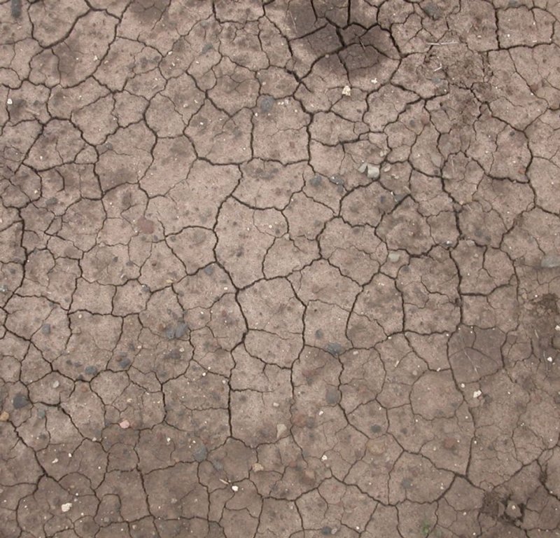 Текстура земли