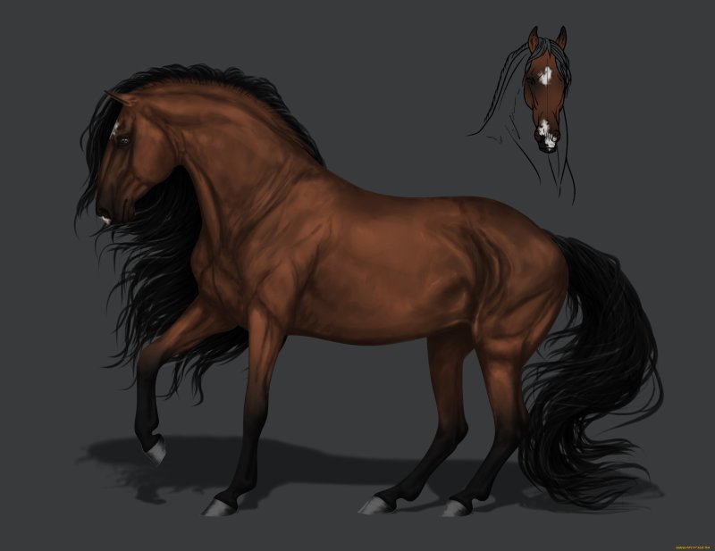 Грива лошади референс