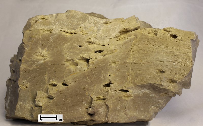 Доломит осадочная порода