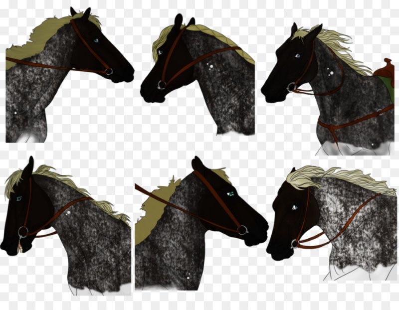 Прически для гривы лошади