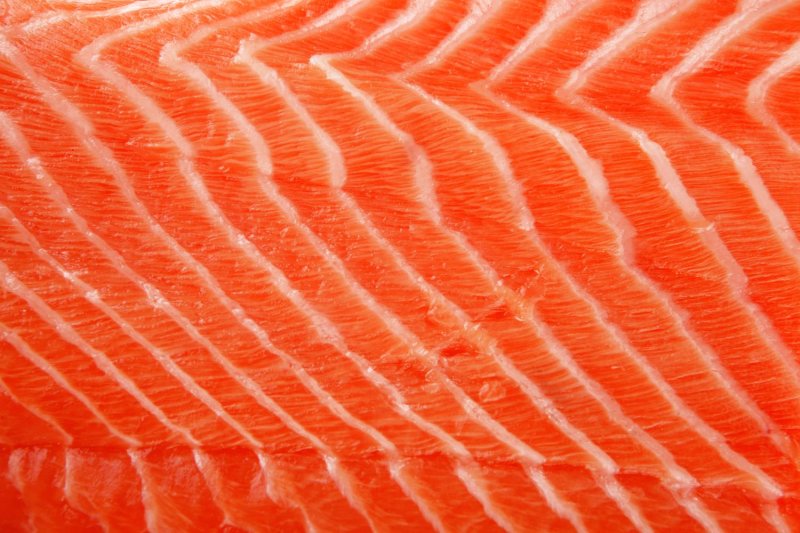 Филе лосося