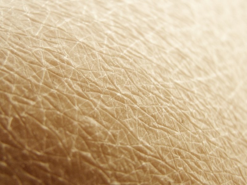 Текстура человеческой кожи