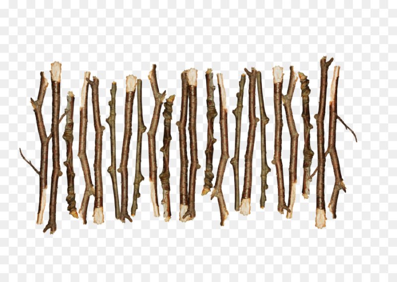 Сухие ветки