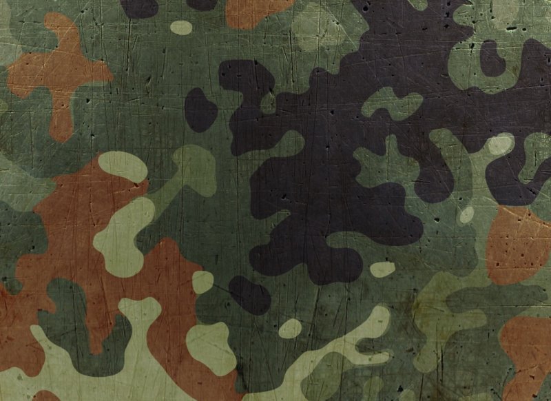 Флектарн камуфляж