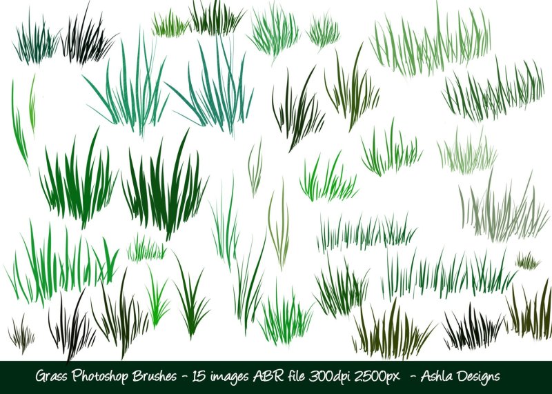 Кисть трава