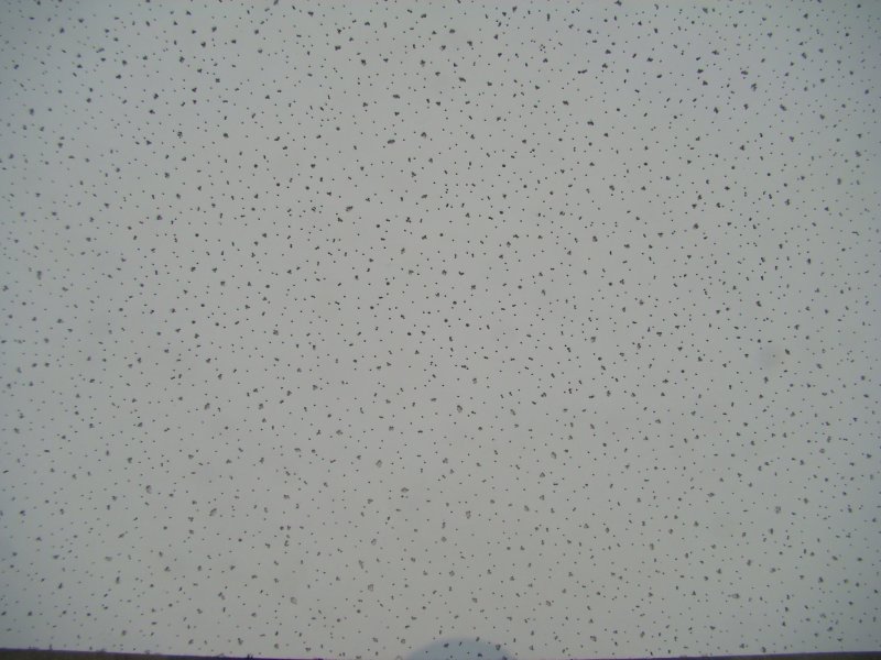 Текстура потолка