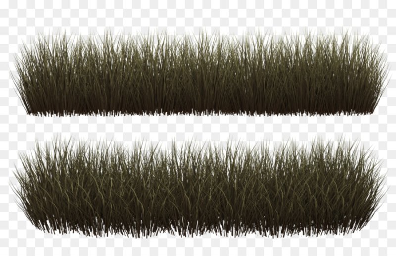 Трава для фотошопа