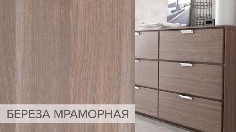 Береза мраморная Ламарти