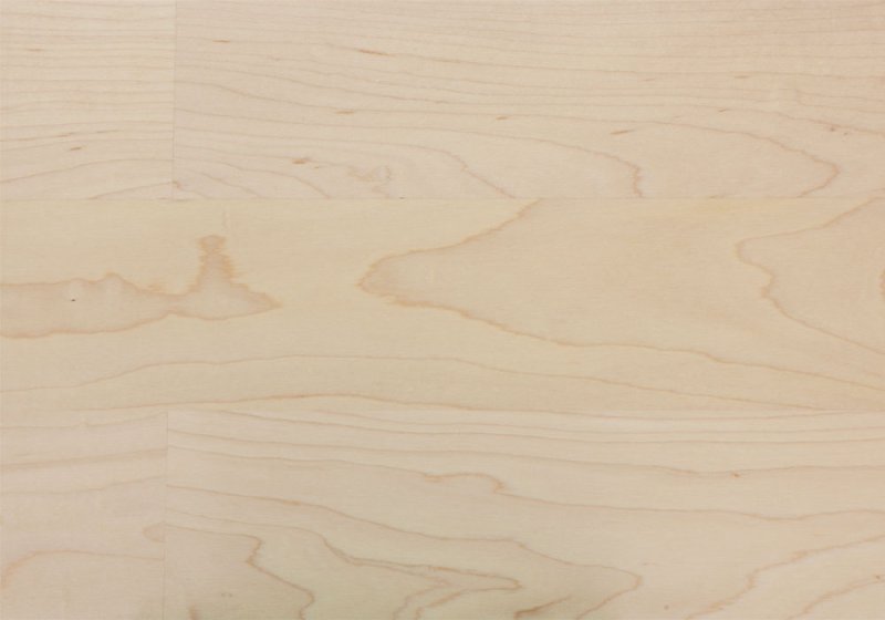 Канадский клен древесина