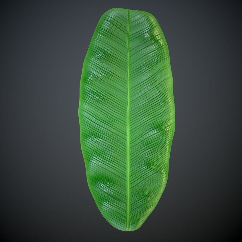 Банановые листья