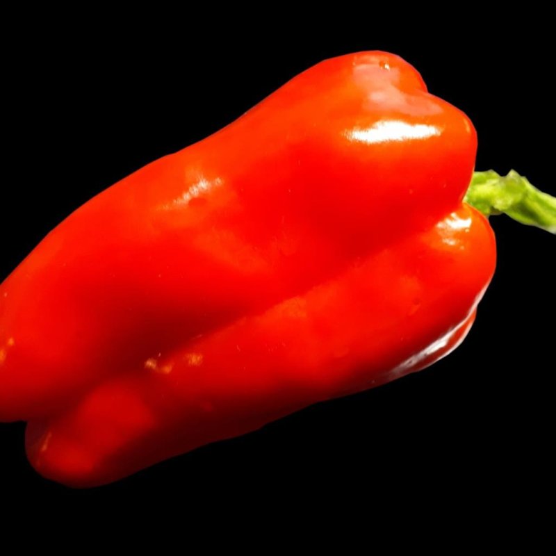 Перец ночка f1