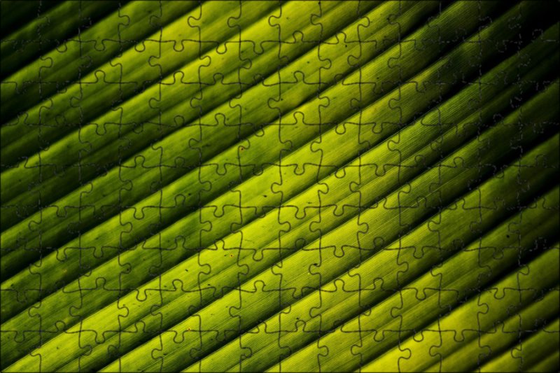 Банановые листья