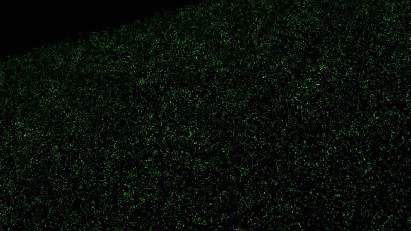 Черная ткань текстура