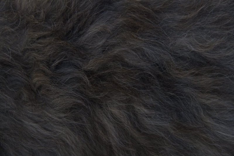 Черная шерсть