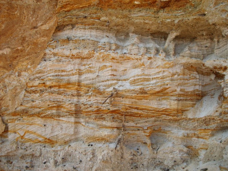 Песчанисто-глинистые известняки