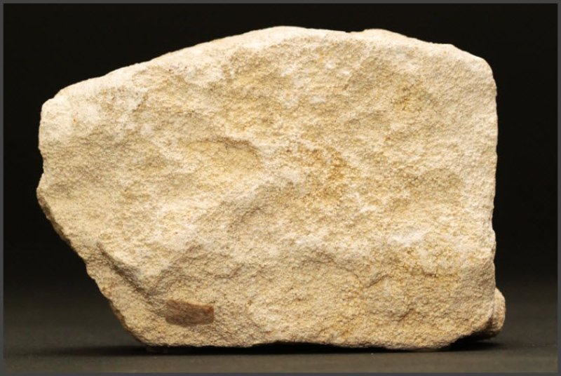 Известняк ракушечник порода