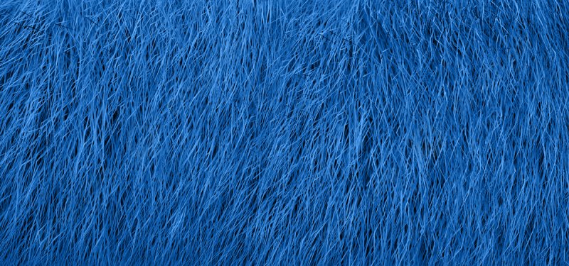 Текстура шерсти