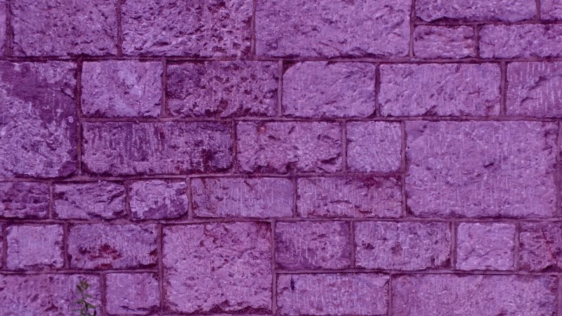 Розовая стена