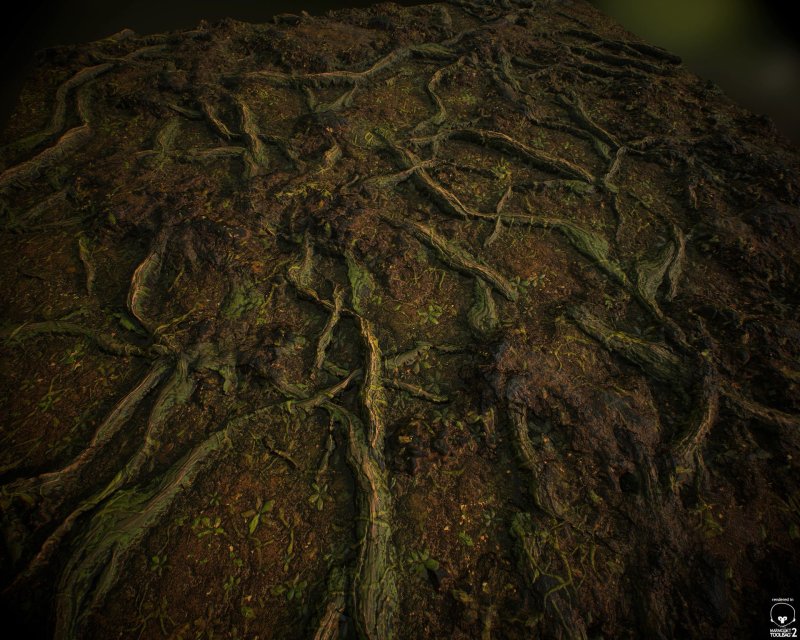 Корни дерева