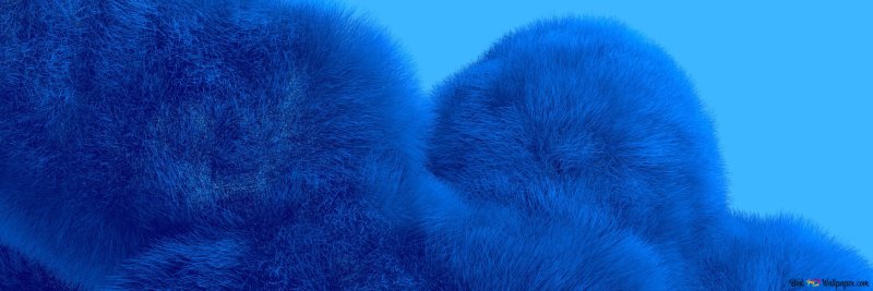 Синий мех