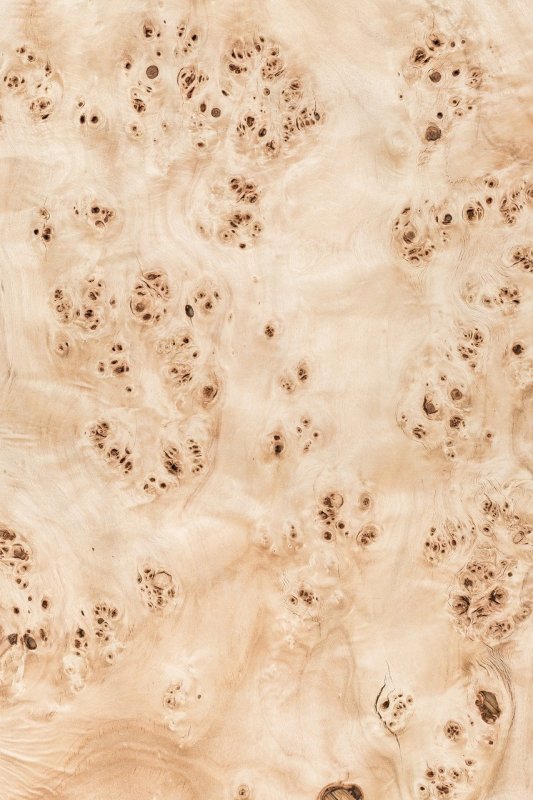 Шпон капового тополя