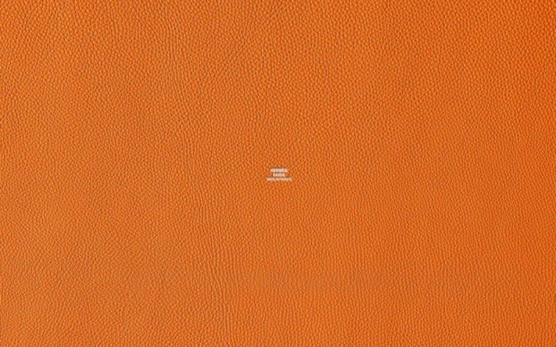Оранжевая кожа Эрмес