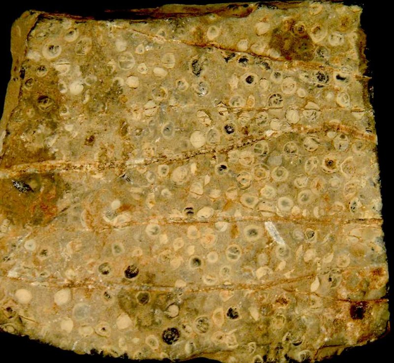 Миндалекаменный базальт