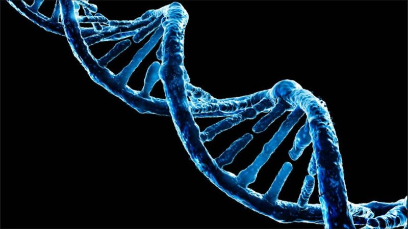 ДНК на черном фоне