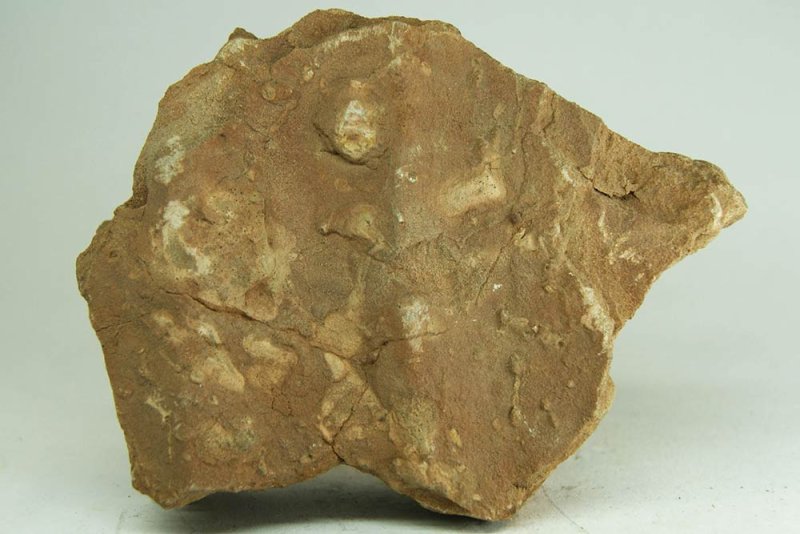 Алевролит Горная порода