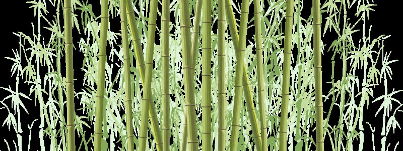 Бамбук Палермо WS 01