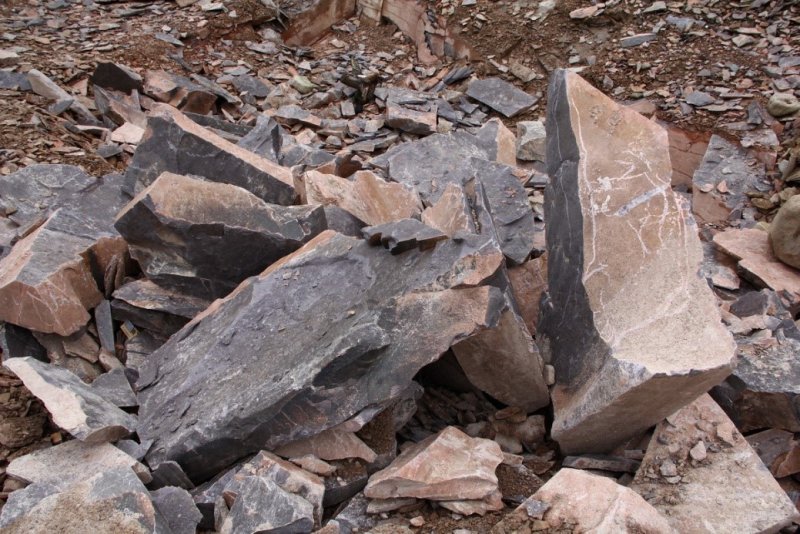 Алевролит Керн